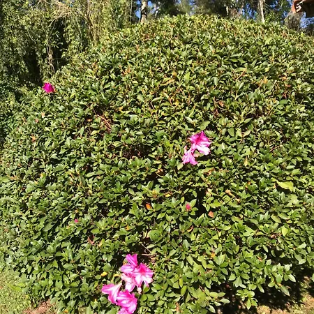 Chale Rosa Flor Villa Nucleo Maua Exterior photo