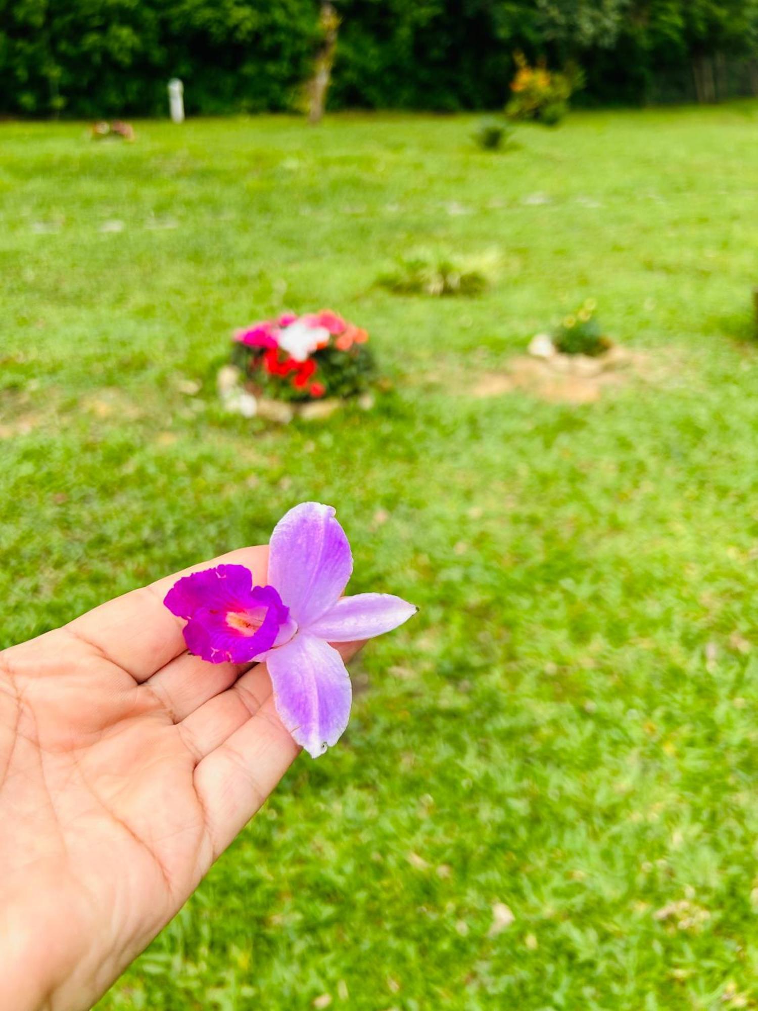 Lodge Chale Rosa Flor