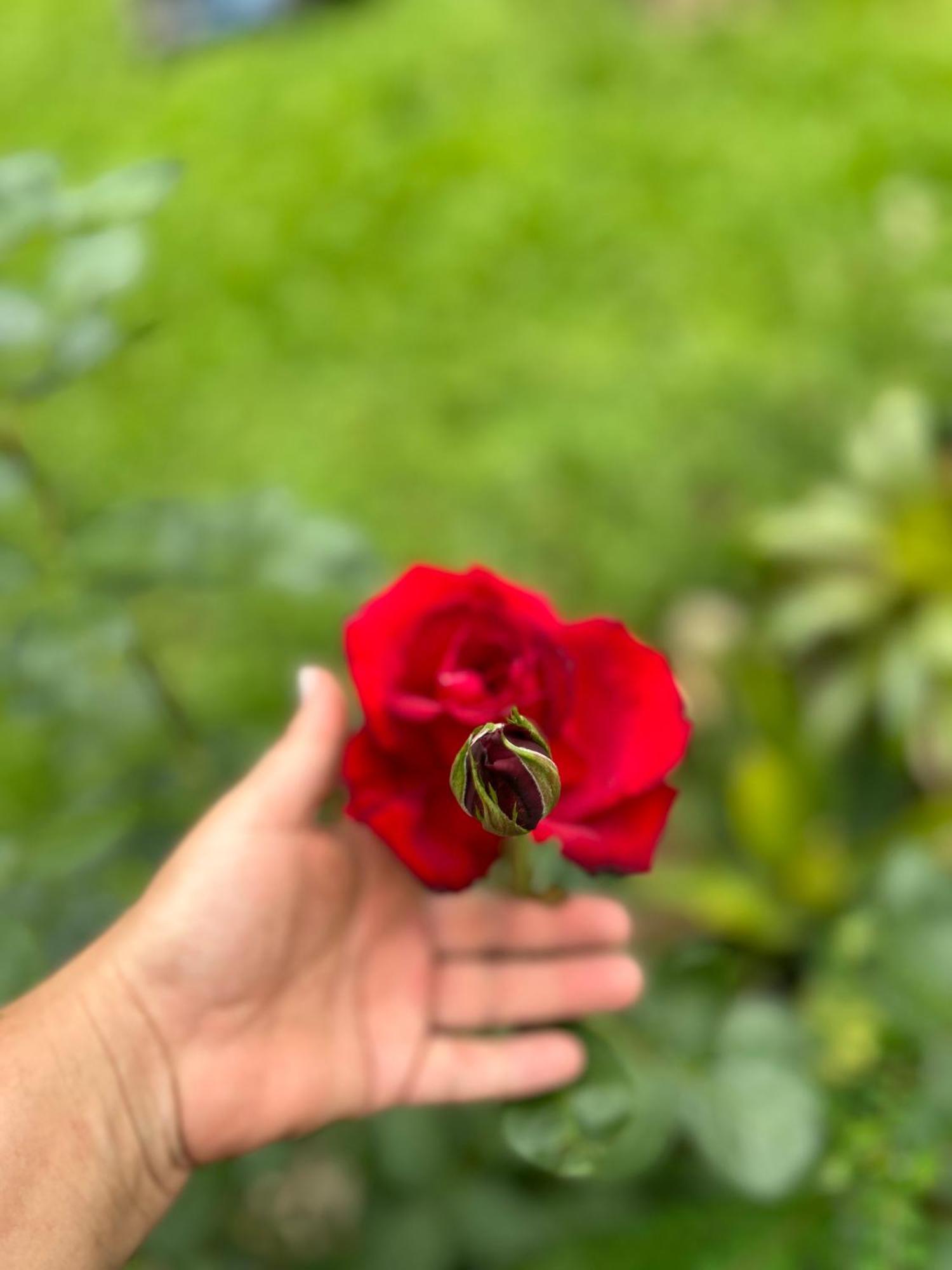 Chale Rosa Flor Lodge Nucleo Maua